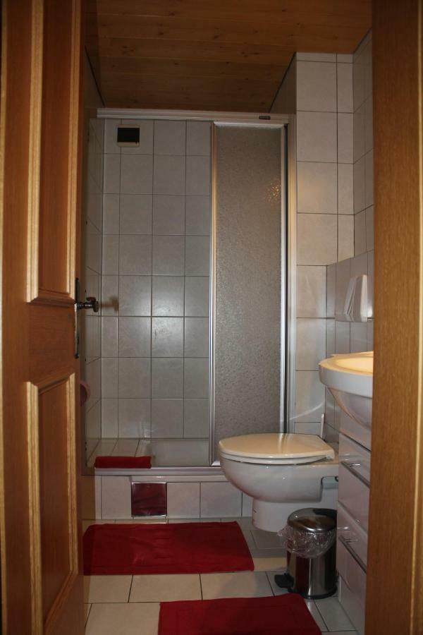 Haus Netzer Irma Daire Sankt Gallenkirch Dış mekan fotoğraf